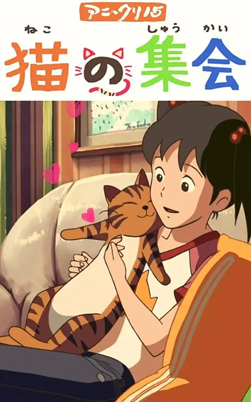 谈及对未来DC宇宙的畅想，古恩希望借鉴DC漫画的形式，每部电影都可以有自己独特的艺术风格，角色设定具有连续性但不必强行关联，“那些只是让观影更有趣的彩蛋，但不希望观众觉得看每部电影前要做很多功课。