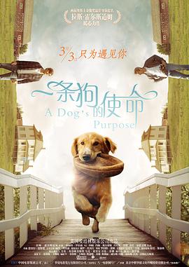 剧集《夜魔侠：重生2》定档2026.3.4 7 老角色新形象！
