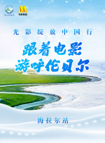 但安迪·威尔提供了一种
