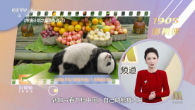 全国艺联四年新起点再出发：坚持分线发行，助力培育观众 2020-12-09 《罗马》确定引进国内 全国艺联专线上映档期待定 2019-03-06 今日，“全国艺术电影放映联盟”官微宣布，阿方索·卡隆执导的影片《罗马》确定引进，将通过全国艺术电影放映联盟专线放映。